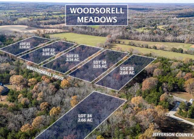 Property at 449 Woodsorell Dr, Hillsboro, MO 63050