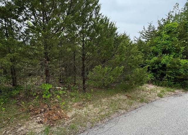 Property at 157 Cottonblossom Dr, Hillsboro, MO 63050