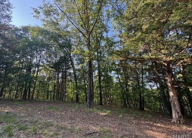 Property at 110 Steeple Point Dr. Lot # 14 Dr, Defiance, MO 63341