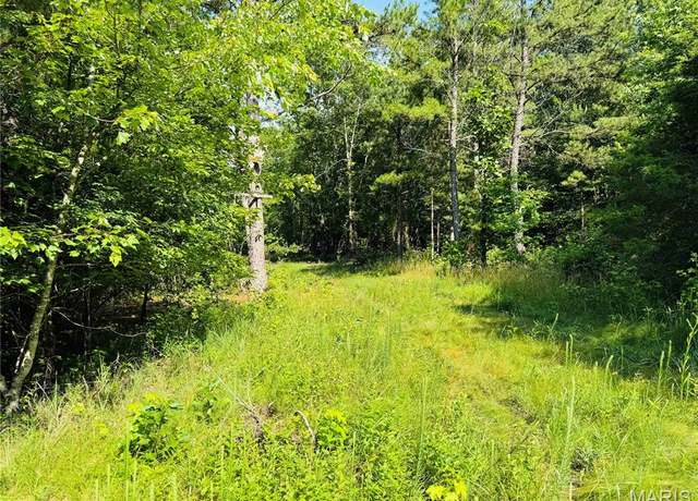 Property at 00 Hwy. BB, Fairdealing, MO 63939