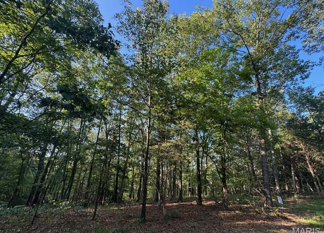 Property at 160 Steeple Point Dr. Lot #9 Dr, Defiance, MO 63341