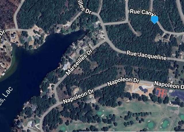 Property at 0 Rue Camille, Bonne Terre, MO 63628