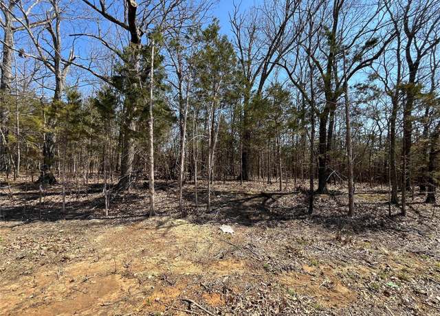 Property at 0 Rue Riviera, Bonne Terre, MO 63628