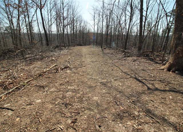 Property at 0 Madison CR 411 (120a) Unit 120a, Fredericktown, MO 63645