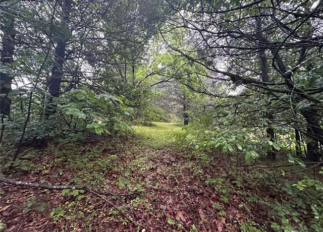 Property at 123 Seven Pines Dr, Unincorporated, MO 65630