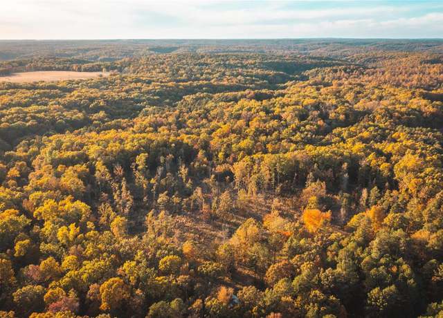 Property at 22285 Golden Springs Rd, Hartshorn, MO 65479