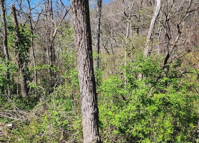 Property at 0 Dodd Rd, Waynesville, MO 65583