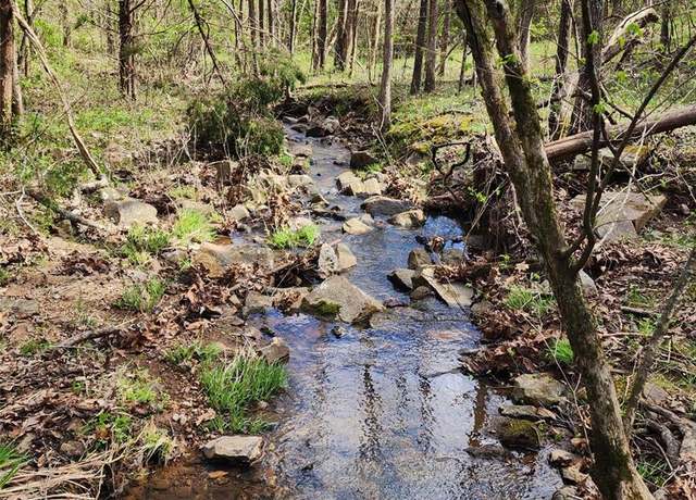 Property at 0 Madison 9514, Fredericktown, MO 63645