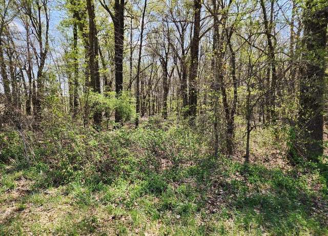 Property at 0 S County Road 268, Neelyville, MO 63954