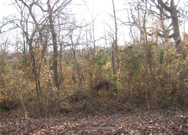 Property at 100 Kennett St, De Soto, MO 63020