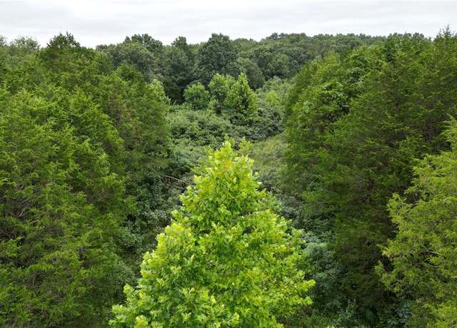 Property at 6135 Tall Cedars Rd, Hillsboro, MO 63050