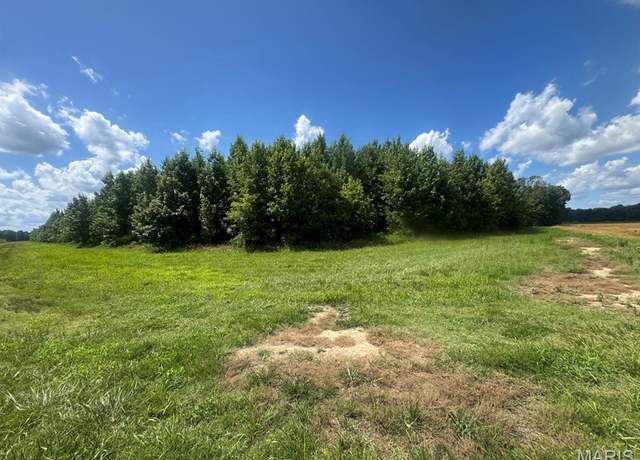 Property at 0 CR 614, Broseley, MO 63932