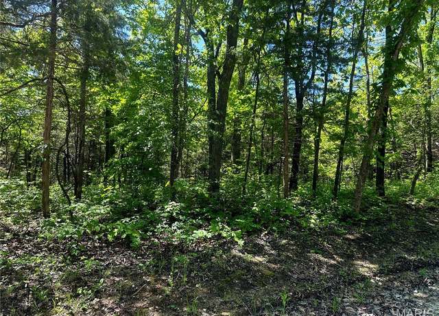 Property at 632 Basswood Dr, Leslie, MO 63056