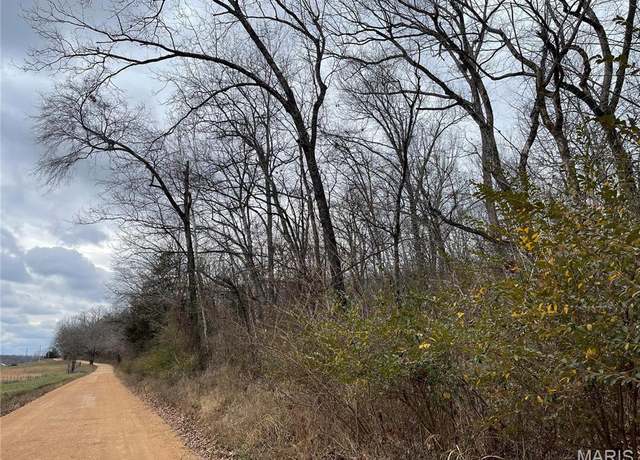 Property at 0 County Road 160 E-4, Doniphan, MO 63935