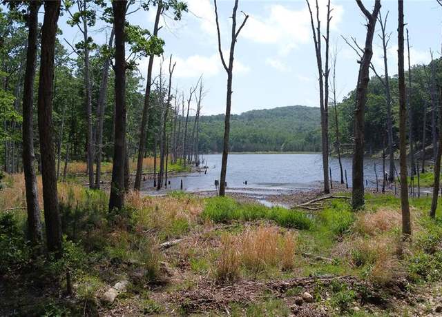 Property at 0 Hidden Vly Lks, Annapolis, MO 63620