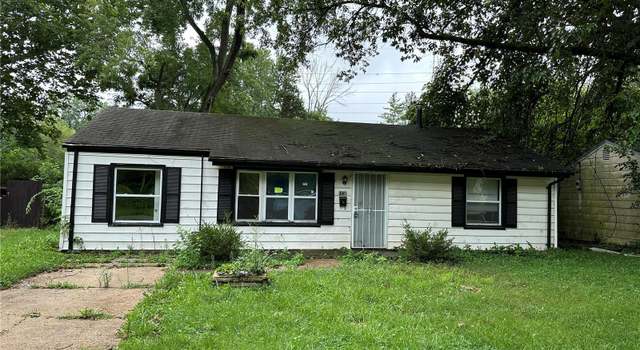 Photo of 1636 Nemnich Ave, St Louis, MO 63136