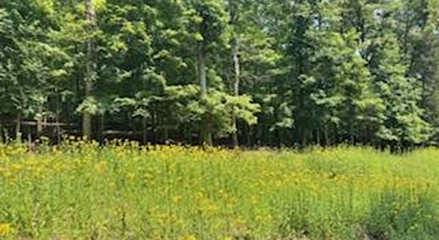 Photo of 646 Sir Richard Dr, Marthasville, MO 63357