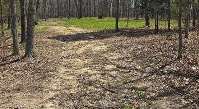 Photo of 0 Tract 2 Off Hwy 32, Belleview, MO 63623