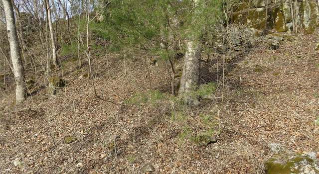 Photo of 0 County Road 422, Ellington, MO 63638