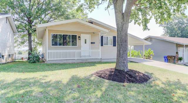 Photo of 238 John St, Troy, MO 63379