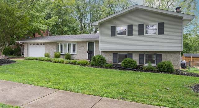 Photo of 109 Virginia Ave, Crystal City, MO 63019