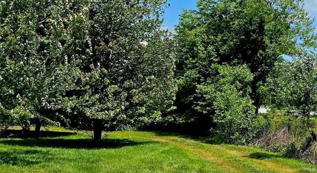 Photo of 202 Ripley Route B, Naylor, MO 63953