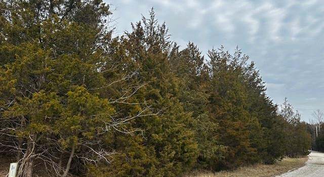 Photo of 0 Sassafras Dr, Sect 19, Lot 209, Unincorporated, MO 63050