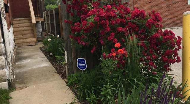 Photo of 2813 Mount Pleasant St, St Louis, MO 63111
