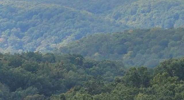 Photo of 16959 Highway 17, Crocker, MO 65452