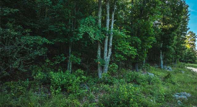 Photo of 0 Aldrich Valley Rd, Van Buren, MO 63965