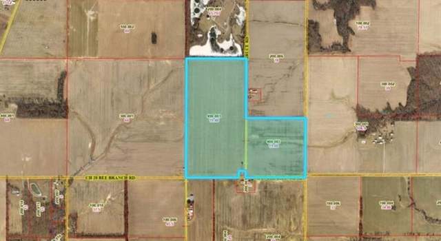 Photo of XXX Bee Branch Rd, Iuka, IL 62849
