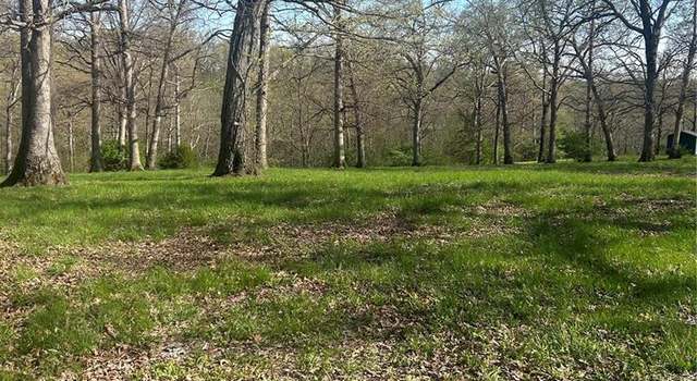 Photo of 191 Mcintyre Ln, Silex, MO 63377