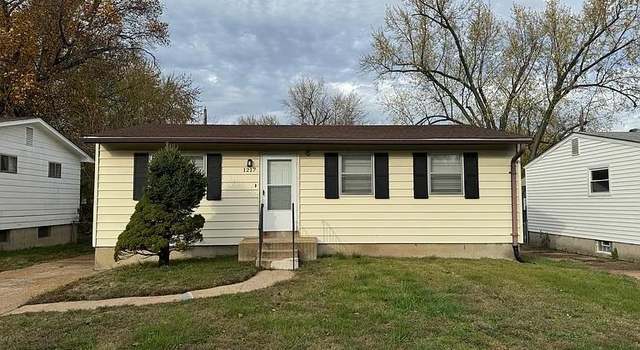 Photo of 1217 Scott Ave, Unincorporated, MO 63138