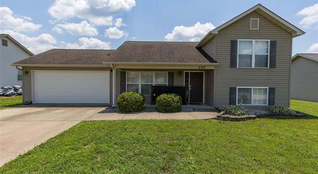 Photo of 236 Bucking Horse Dr, Farmington, MO 63640