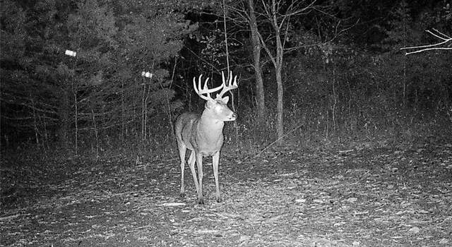 Photo of 0 Mo-ww, Eolia, MO 63344
