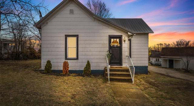 Photo of 209 Station St, Leadwood, MO 63653