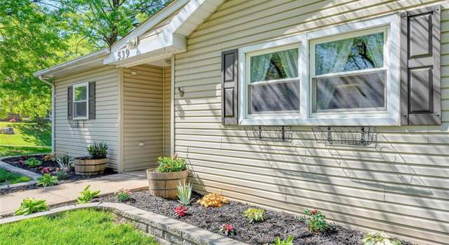 Photo of 539 Joshua, St Louis, MO 63126