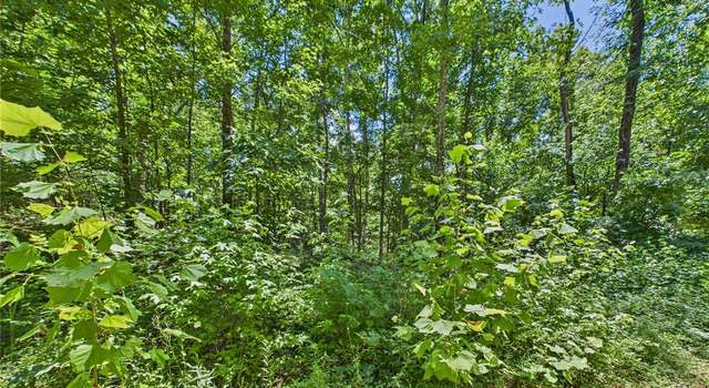 Photo of Lot 333 Crestwood Dr, Wappapello, MO 63966