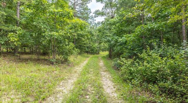 Photo of South of US Highway 60, Poplar Bluff, MO 63901