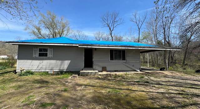 Photo of 103 E 5th St, Mill Spring, MO 63952