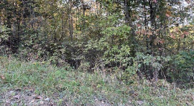 Photo of 75 N Skyline Dr, New Florence, MO 63363