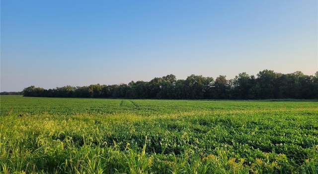 Photo of 0 Hwy DD (37.53+/- Ac) Tract F, Bellflower, MO 63333