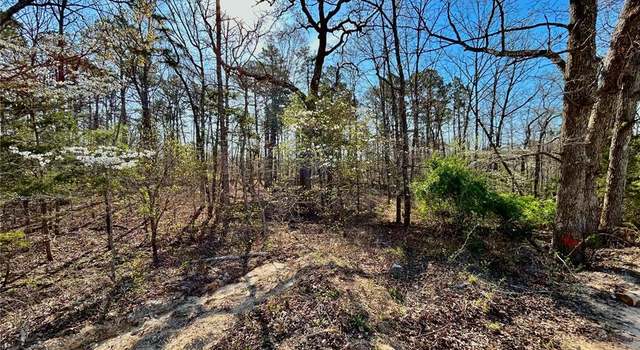 Photo of 0 Tbd Tract 1 County Road 6570, Salem, MO 65560
