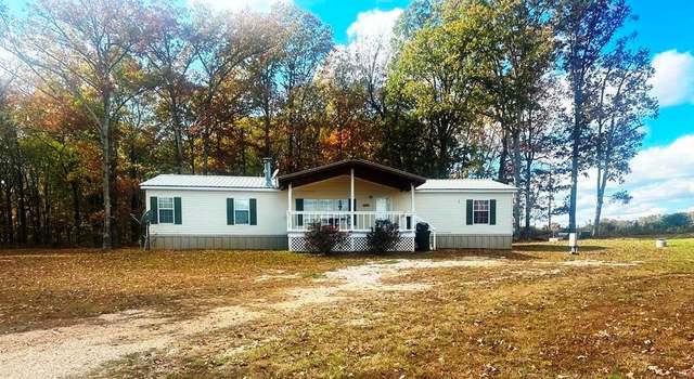 Photo of 465 Ripley 160e-20, Fairdealing, MO 63939