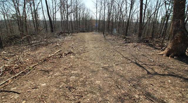 Photo of 0 Madison CR 411 (120a) Unit 120a, Fredericktown, MO 63645