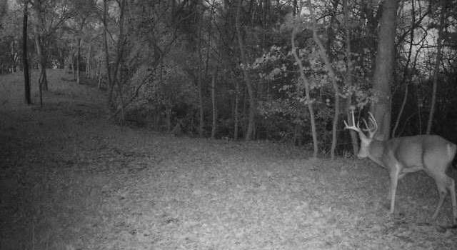 Photo of 0 Salt Spring Holw, Hardin, IL 62047