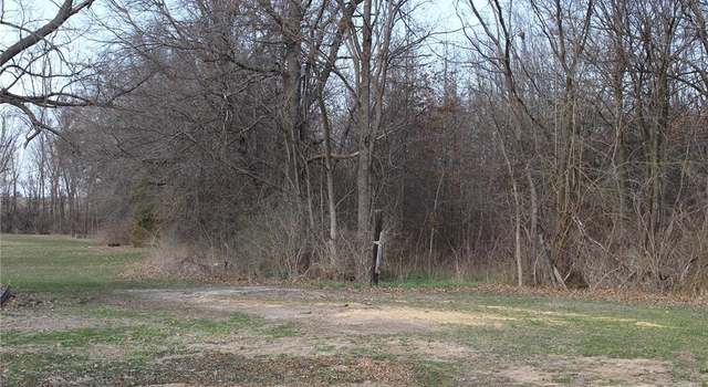 Photo of 401 E Olive St, Bellflower, MO 63333