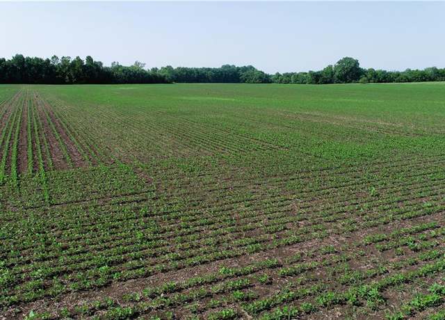 Property at T Hwy, Pattonsburg, MO 64670