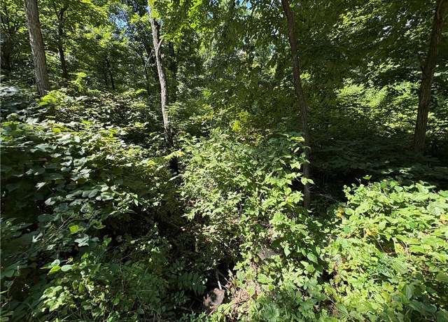 Property at 53,57,61 & 65 Locust Dr, Mound City, KS 66056
