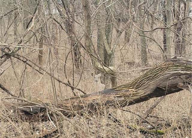 Property at 9 Black Oak Dr, Linn Valley, KS 66040